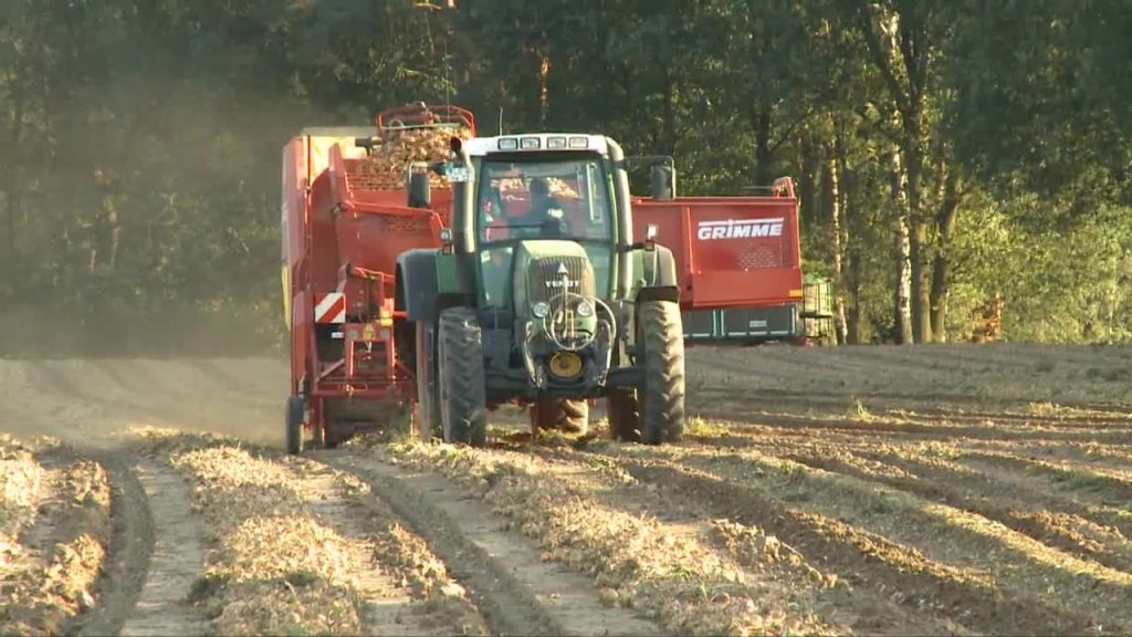 SE75-55_Zwiebelroden_2011
