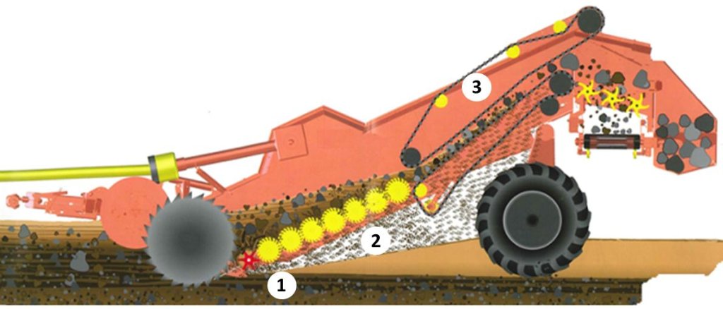 CS150_Detail (1)