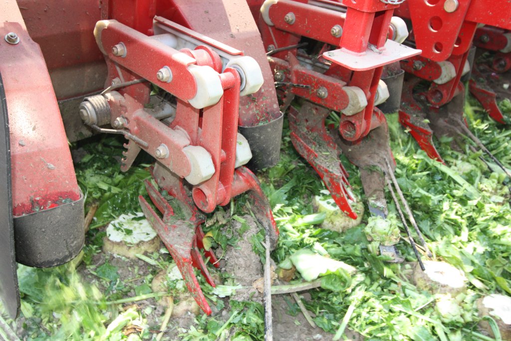 FT 300 (11)