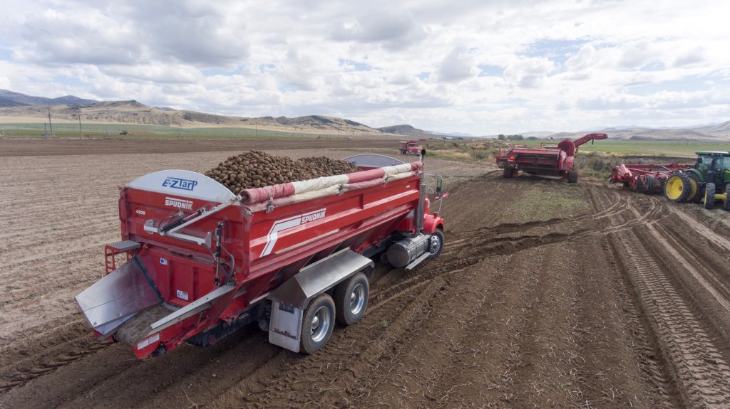 SPUDNIK 4300 Bulk Bed (22)