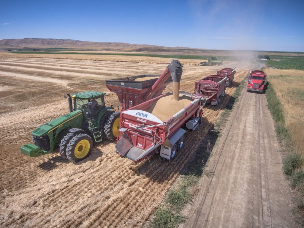 SPUDNIK 4300 Bulk Bed (3)
