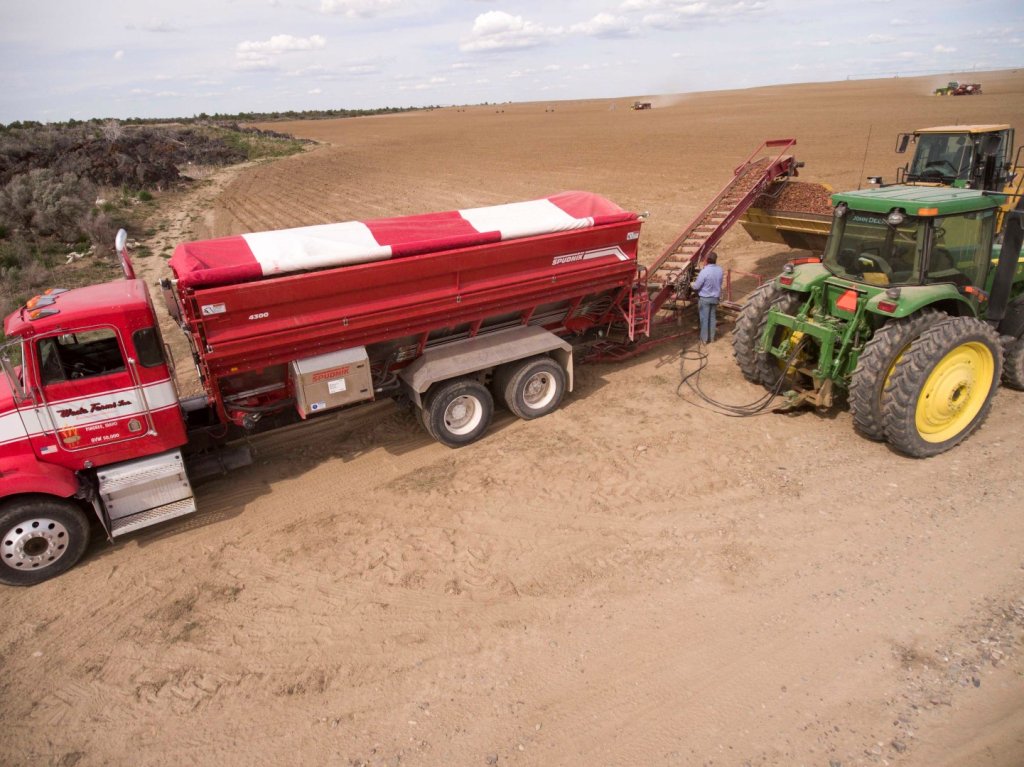 SPUDNIK 4300 Bulk Bed (5)