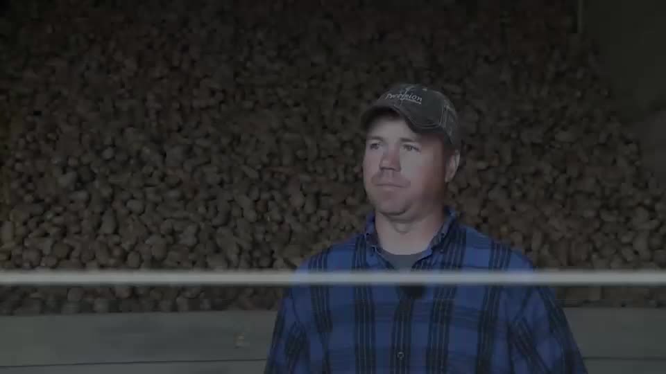 Testimonial (Matt Porter - AirSep Harvester)
