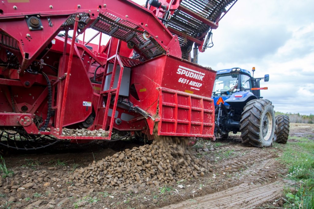 SPUDNIK 6631 AirSep Harvester (20)