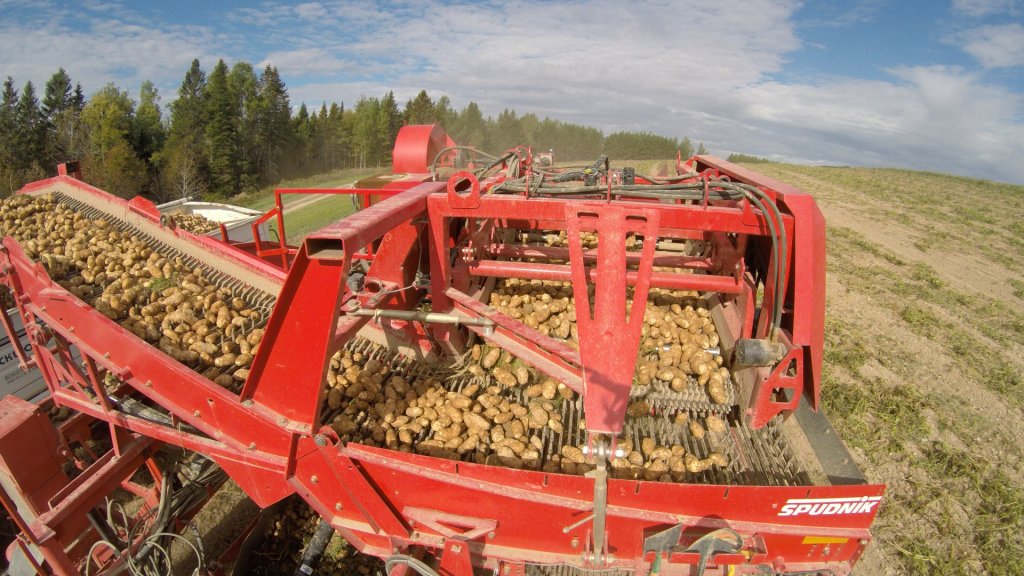 SPUDNIK 6621 AirSep Harvester (2)