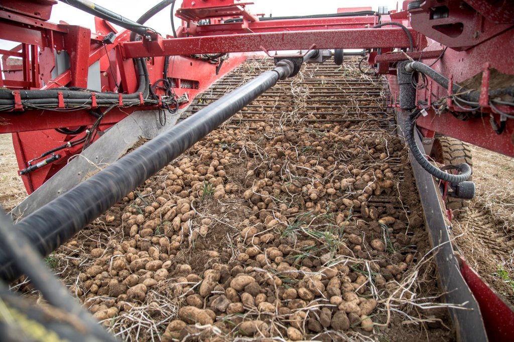 SPUDNIK 6631 AirSep Harvester (25)
