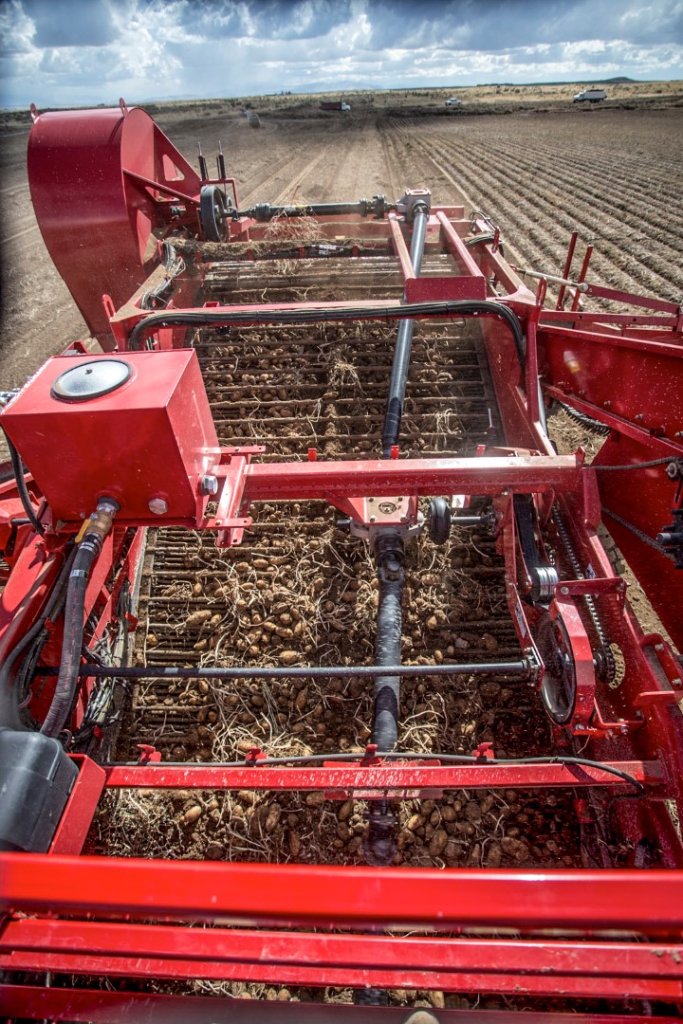 SPUDNIK 6621 AirSep Harvester (51)