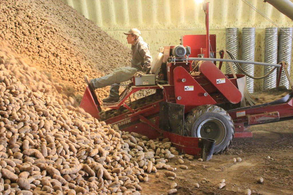 SPUDNIK 150 Scooper (7)