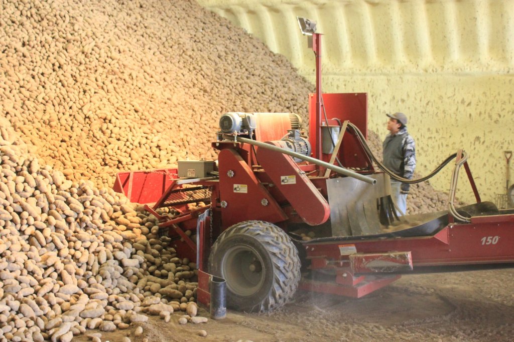 SPUDNIK 150 Scooper (5)