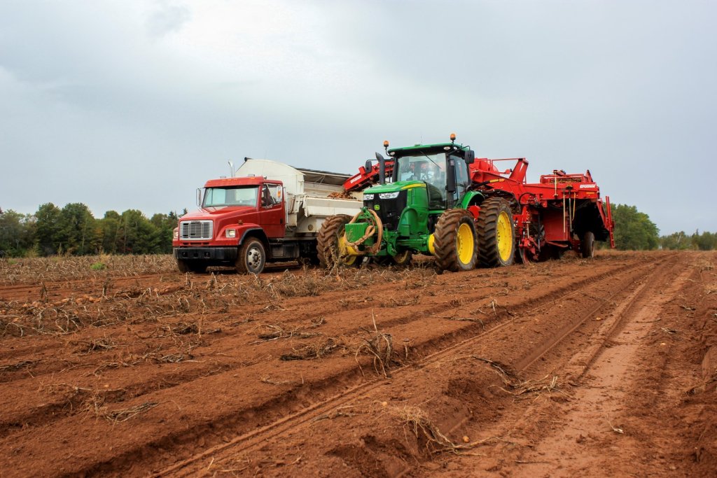SPUDNIK 6630 Harvester (1)
