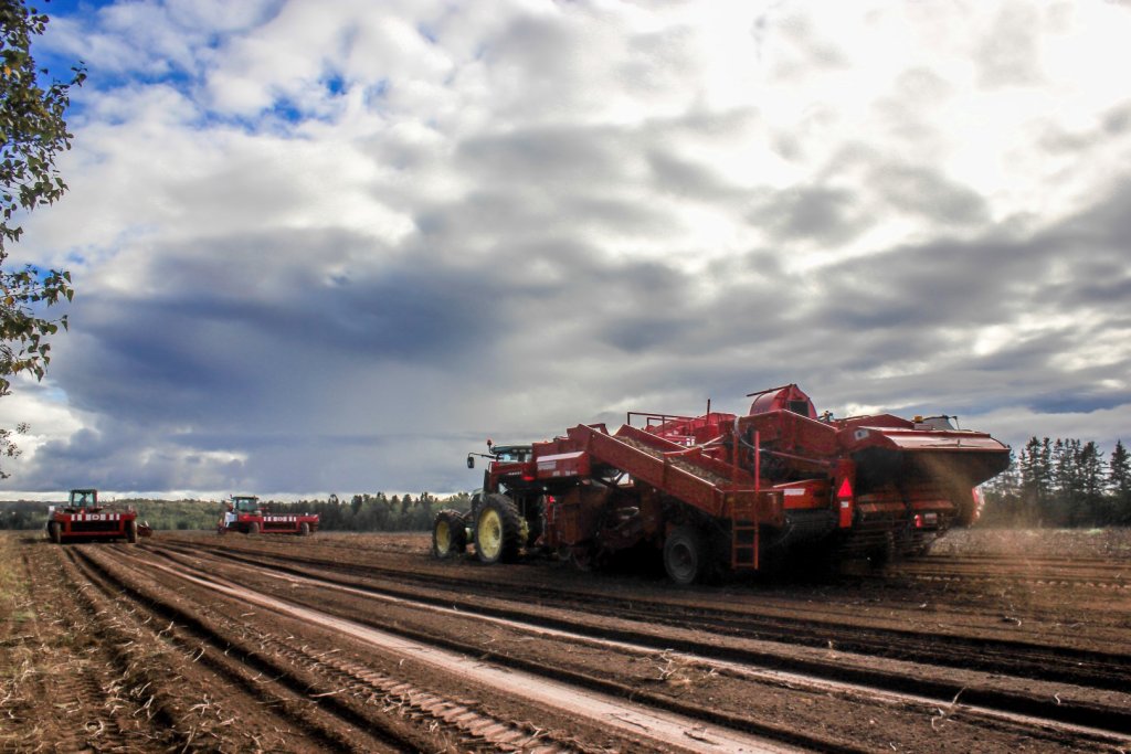 SPUDNIK 6630 Harvester (3)