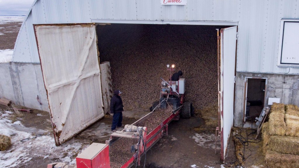 SPUDNIK 150 Scooper (1)