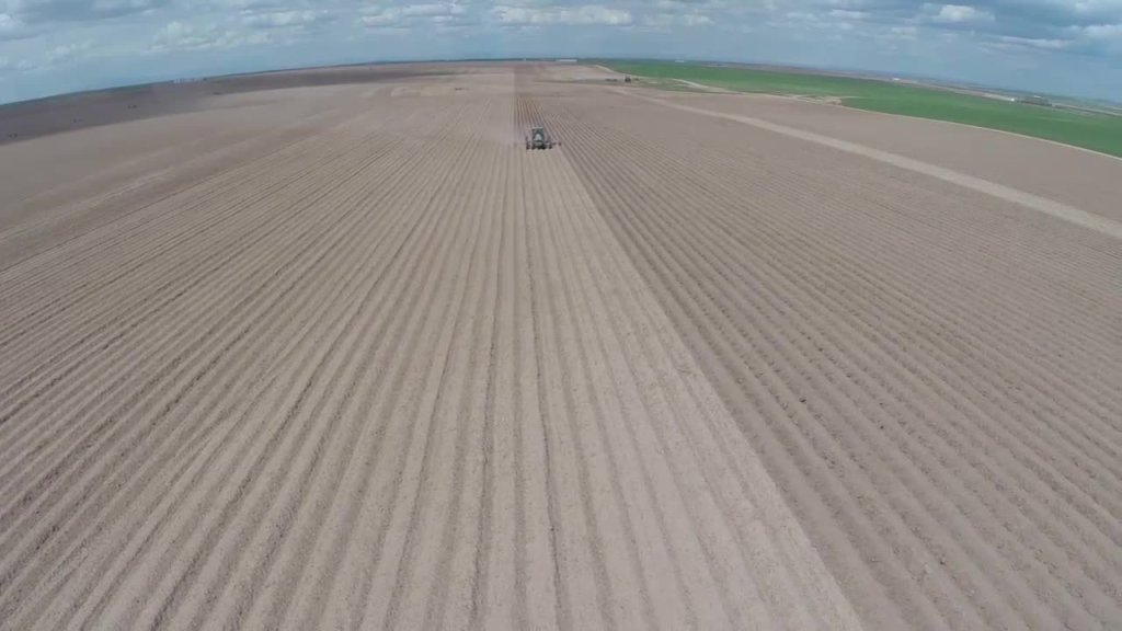 9306 + 9308 (Cultivator)