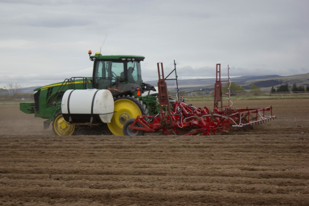 SPUDNIK 9306 Cultivator (11)