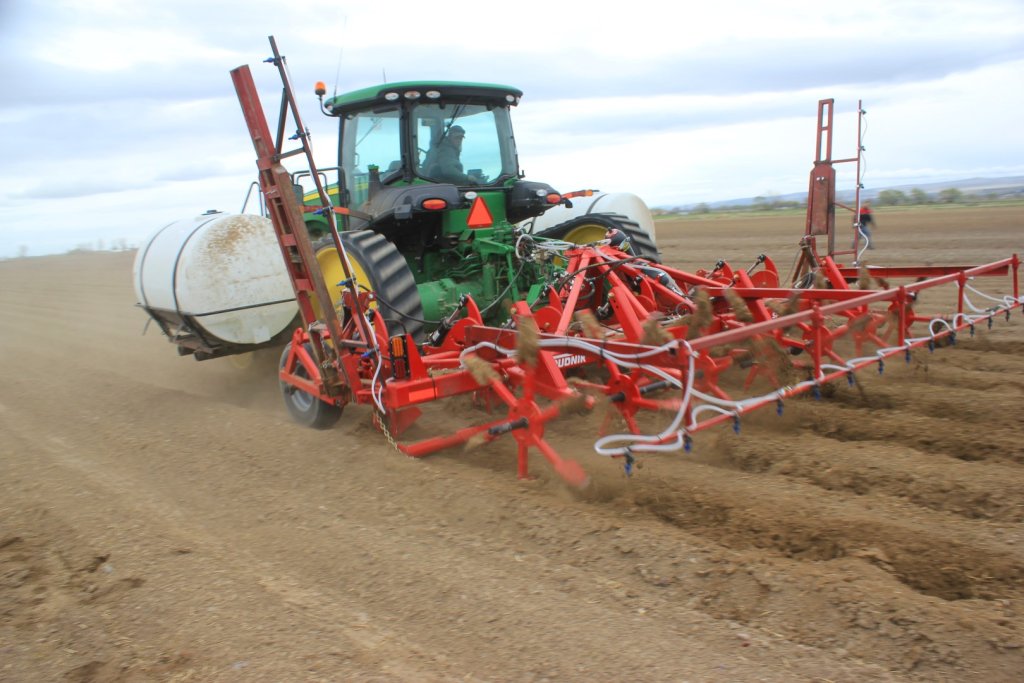 SPUDNIK 9306 Cultivator (2)