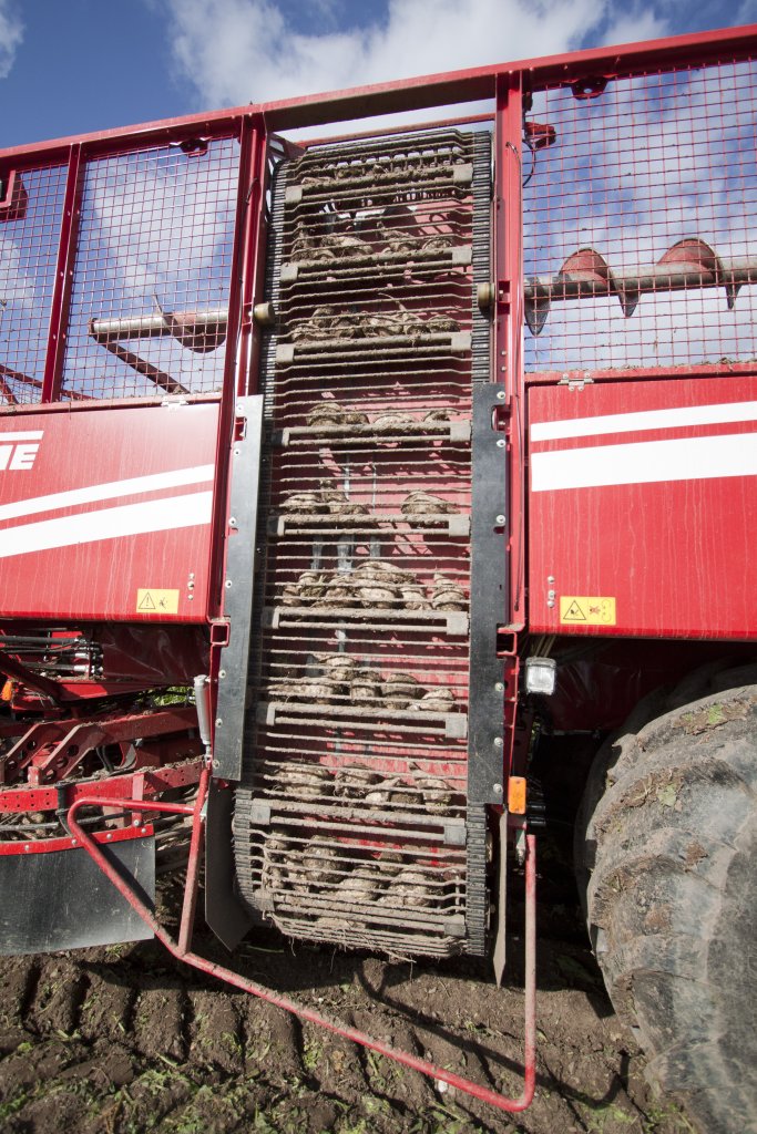 REXOR 620- Roden und Reinigen 38