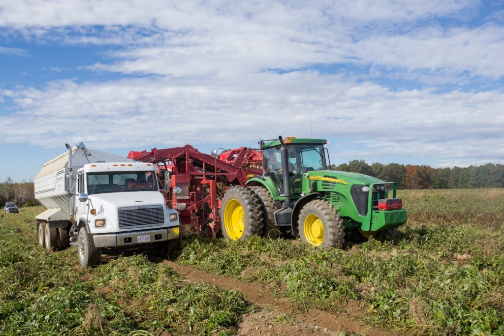SPUDNIK 6621 AirSep Harvester (22)