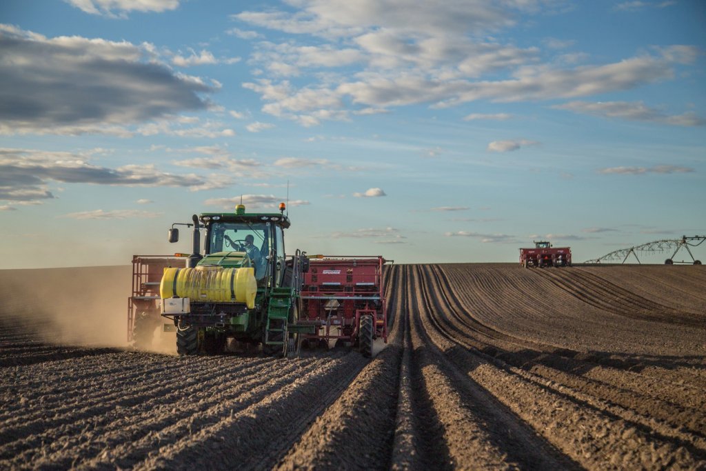 SPUDNIK 8060 Planter (9)