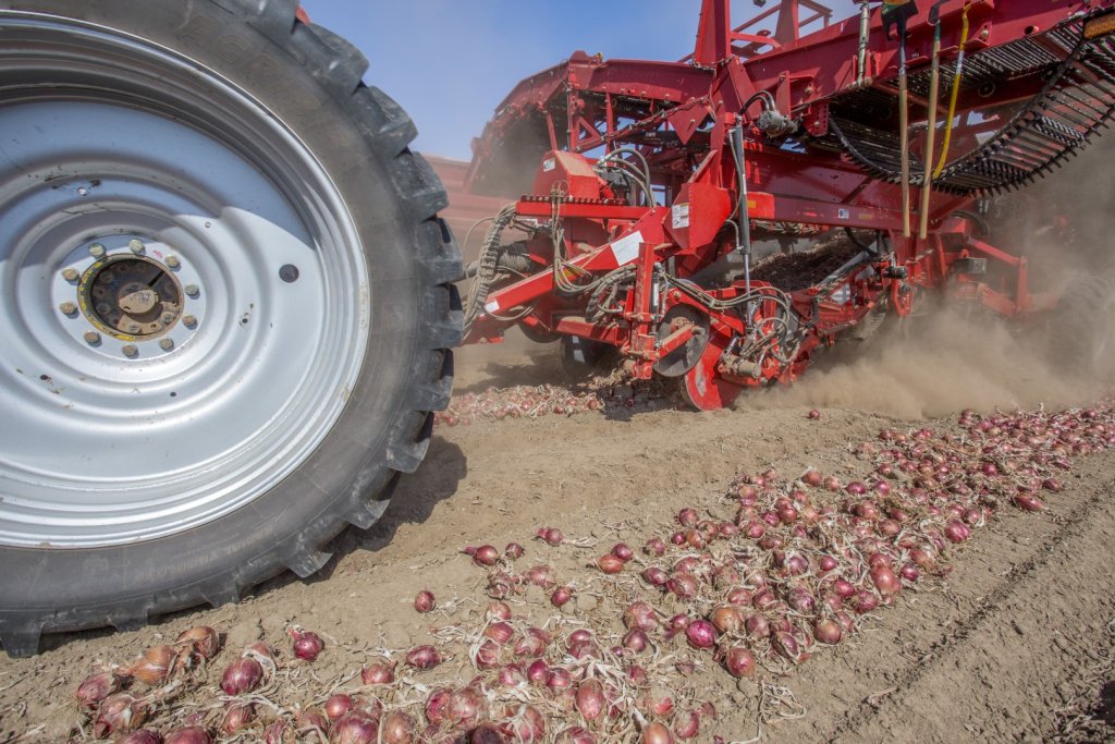 SPUDNIK 6621 AirSep Harvester (19)