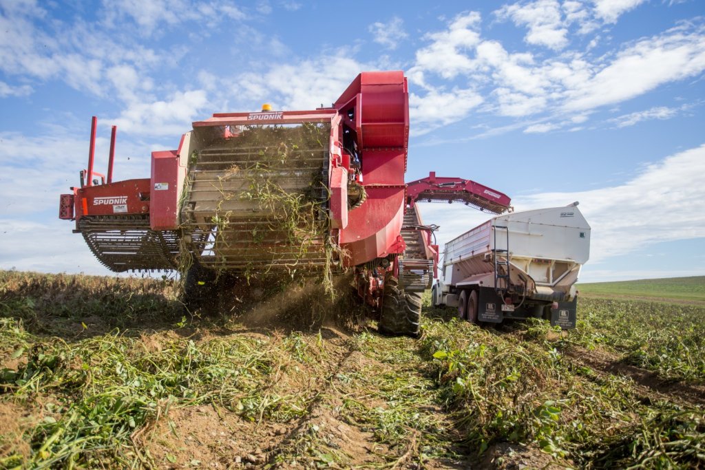 SPUDNIK 6621 AirSep Harvester (20)