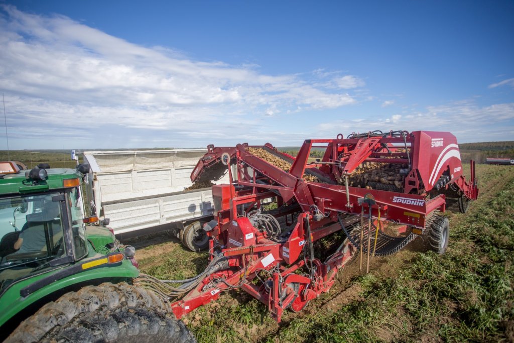 SPUDNIK 6621 AirSep Harvester (28)