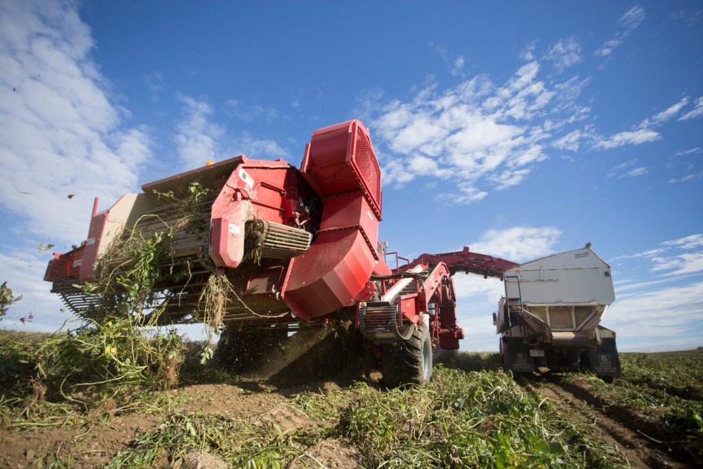 SPUDNIK 6621 AirSep Harvester (23)