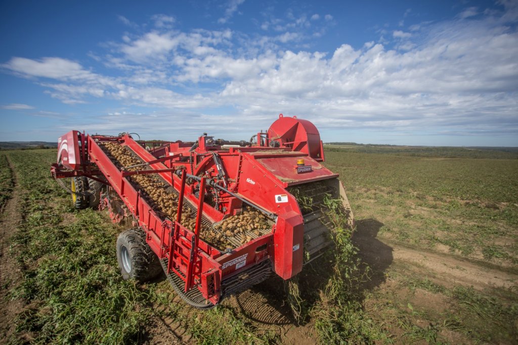 SPUDNIK 6621 AirSep Harvester (29)