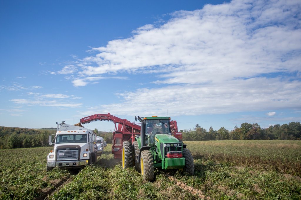SPUDNIK 6621 AirSep Harvester (21)
