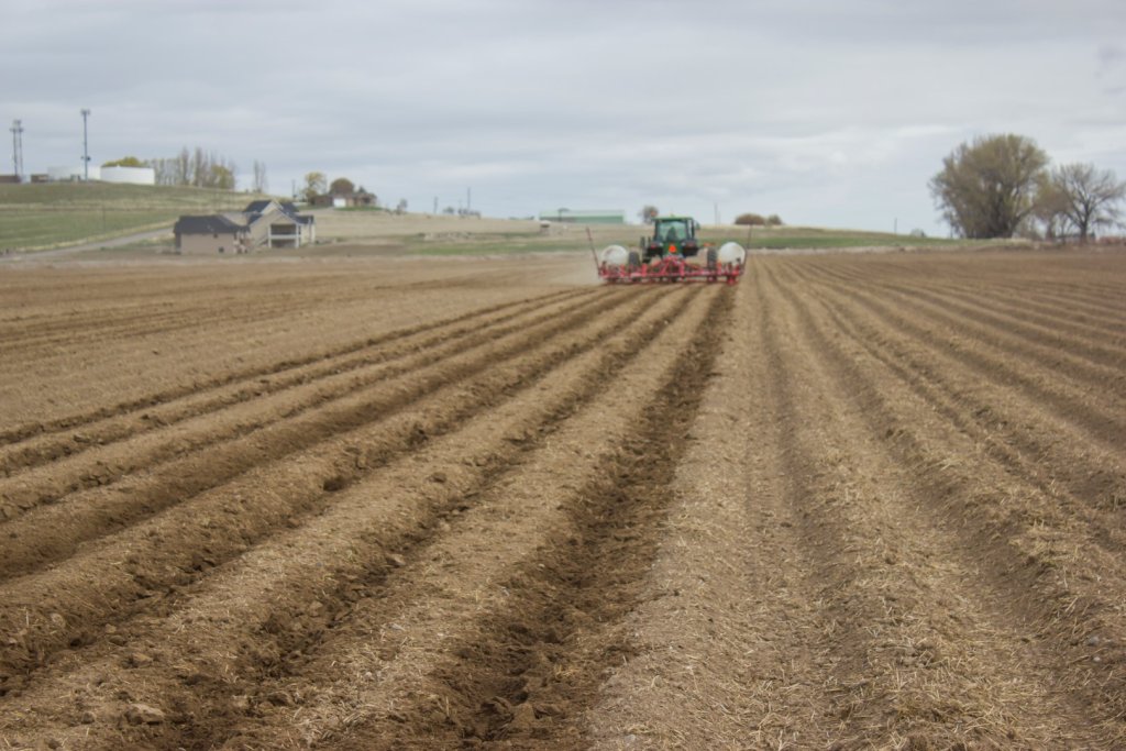 SPUDNIK 9306 Cultivator (4)