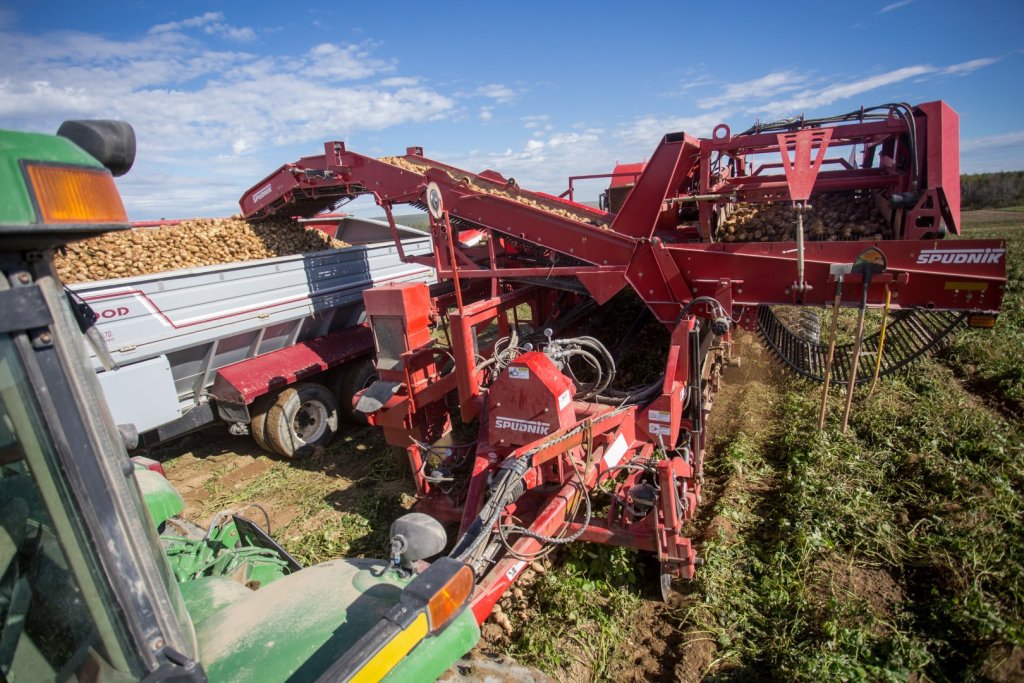 SPUDNIK 6621 AirSep Harvester (27)
