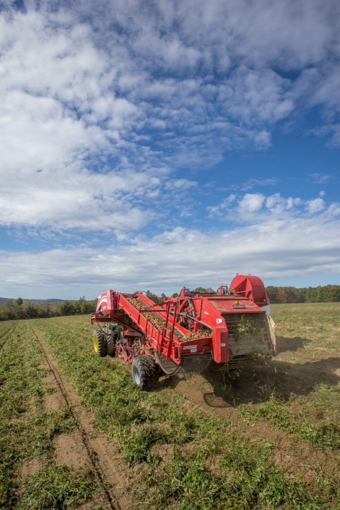 SPUDNIK 6621 AirSep Harvester (31)