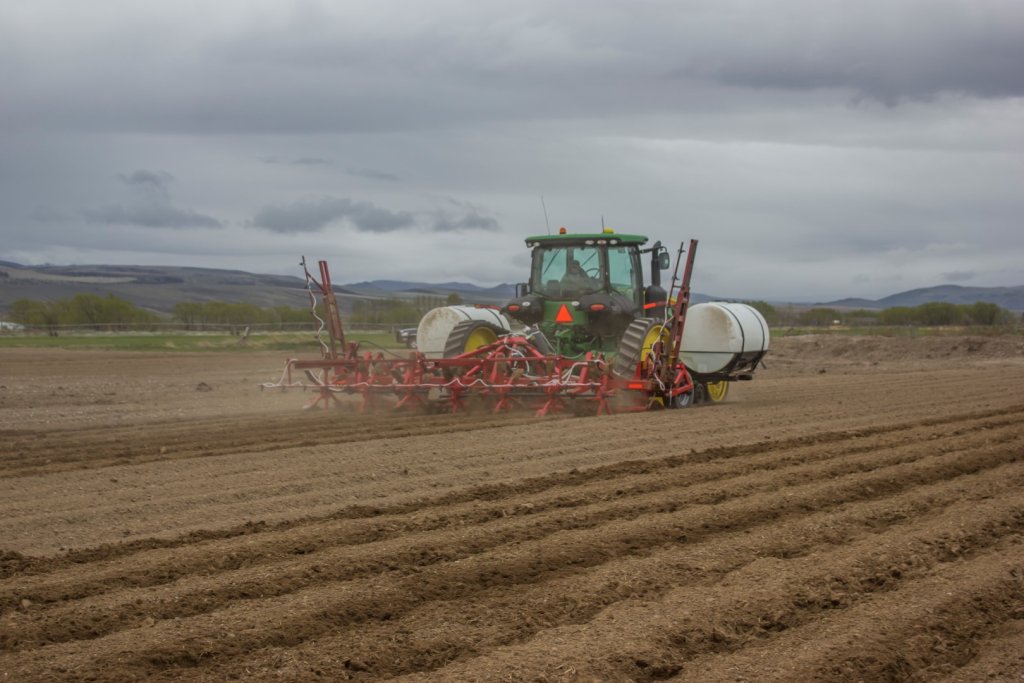 SPUDNIK 9306 Cultivator (8)