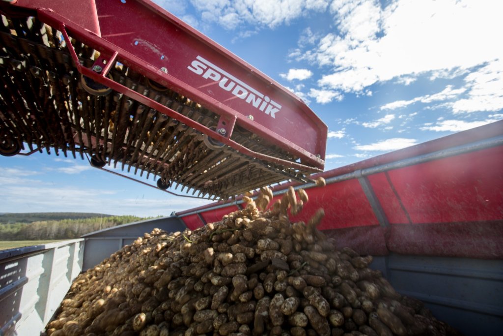 SPUDNIK 6621 AirSep Harvester (25)
