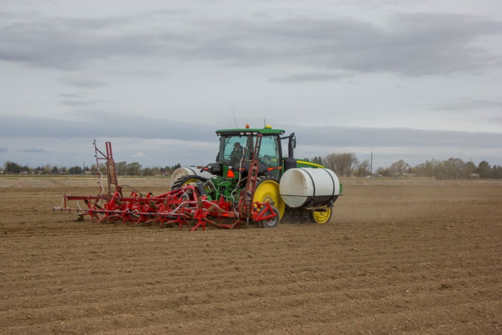 SPUDNIK 9306 Cultivator (3)