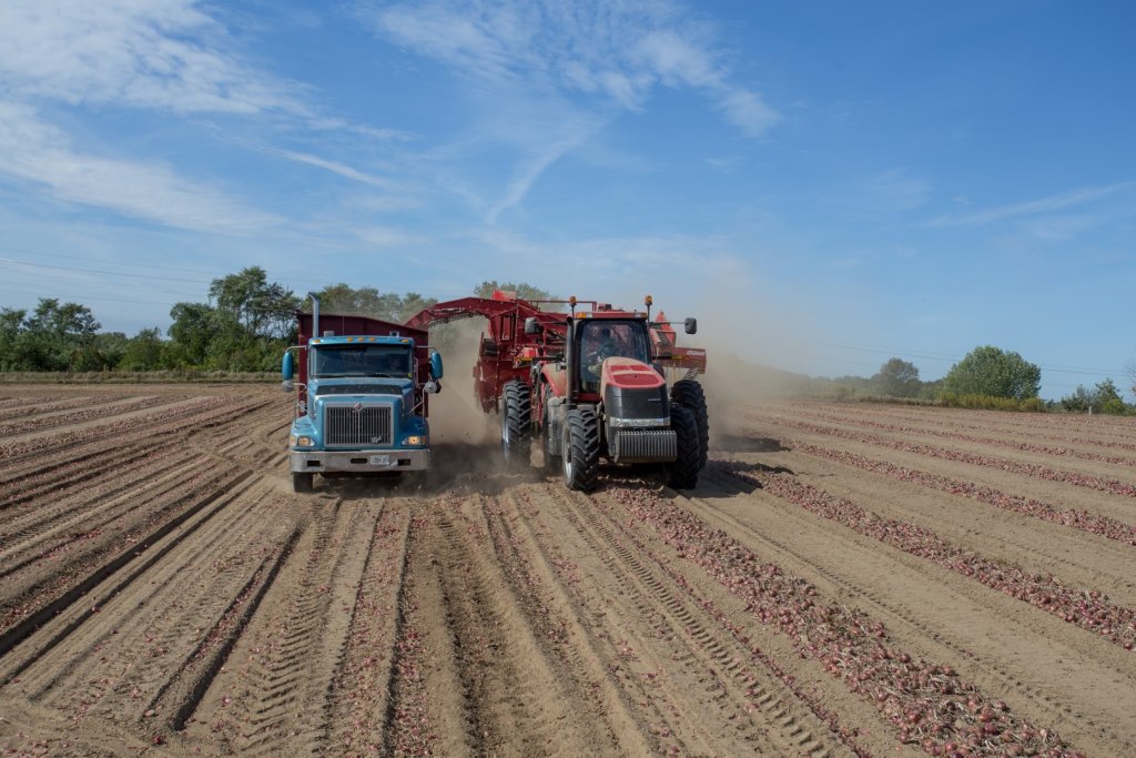 SPUDNIK 6621 AirSep Harvester (16)