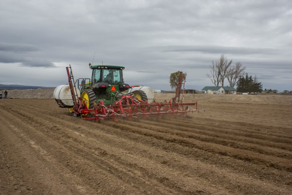 SPUDNIK 9306 Cultivator (5)