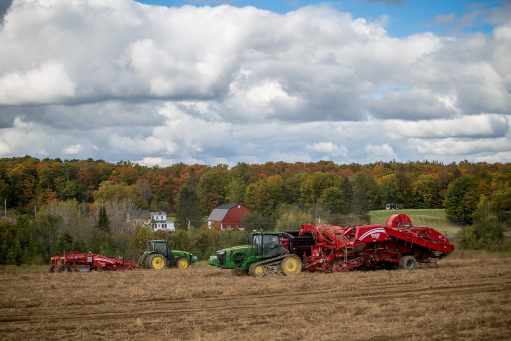 SPUDNIK 6631 AirSep Harvester (19)
