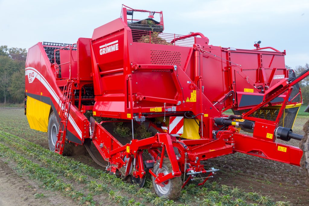 EVO 290 Knollensellerie (3)