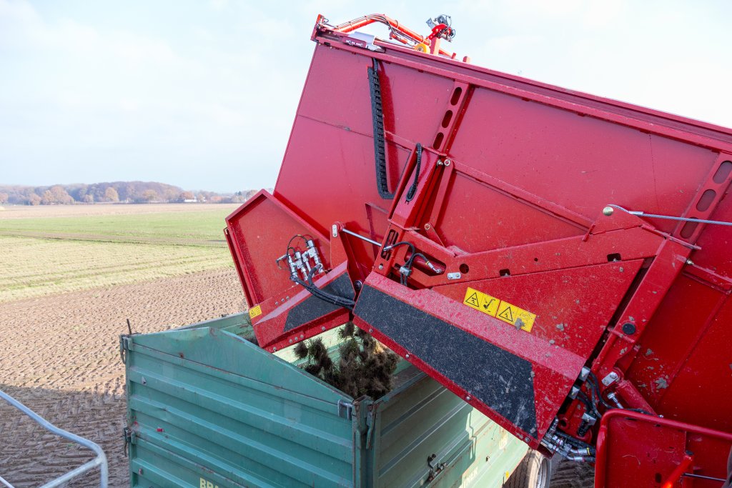 EVO 290 Schnittlauch (4)