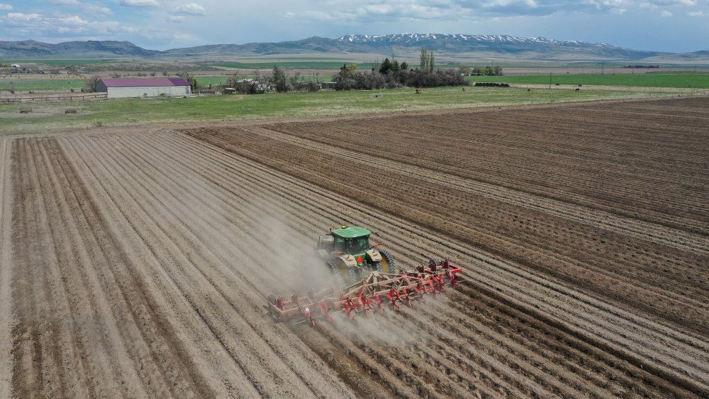 SPUDNIK 9412 Culitvator (10)