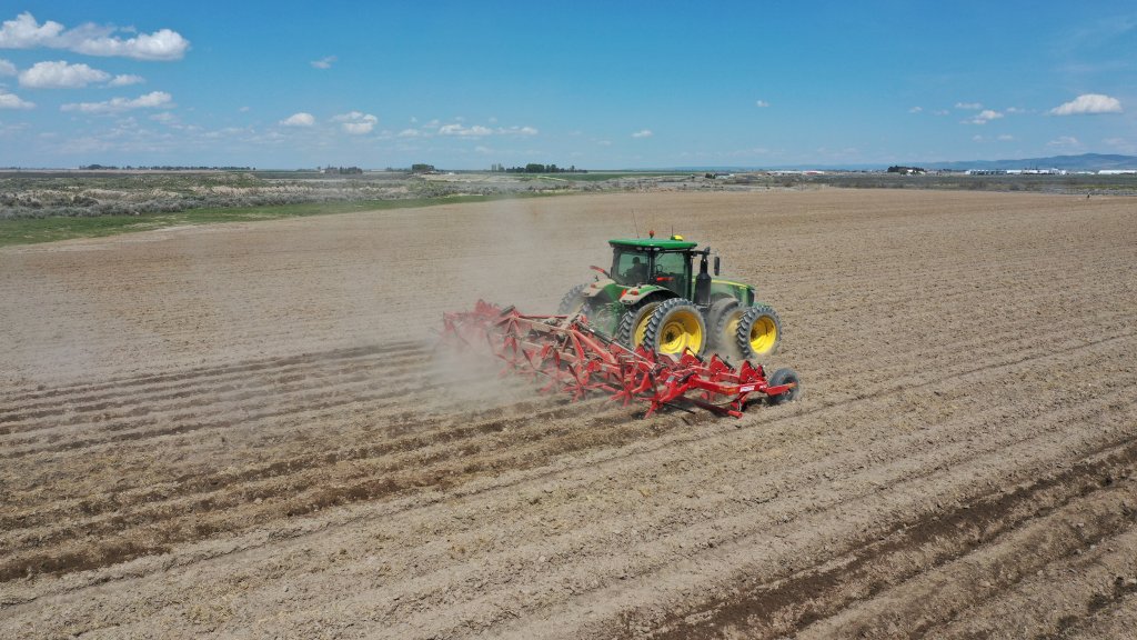 SPUDNIK 9412 Culitvator (5)
