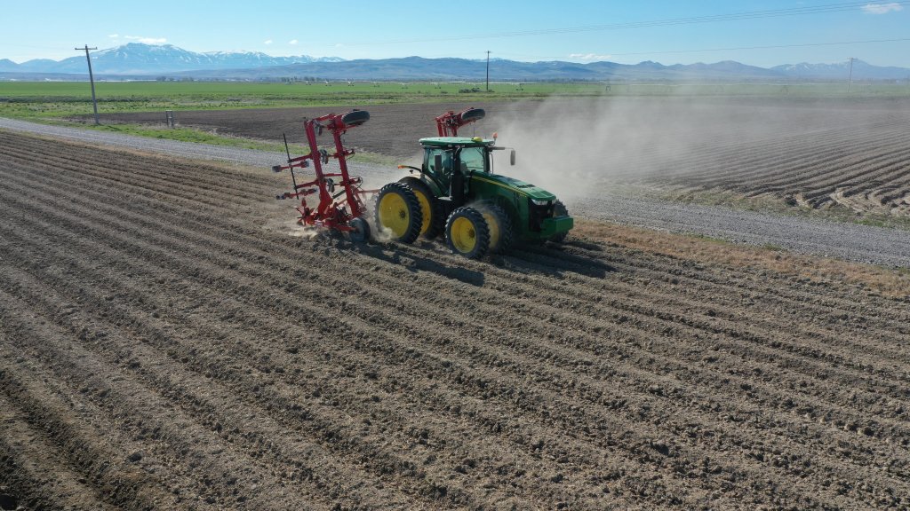 SPUDNIK 9412 Culitvator (1)