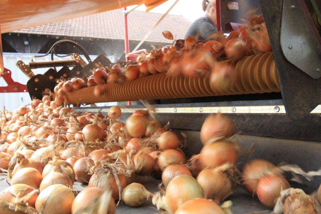 RH 24-60 Combi - Onions (3)
