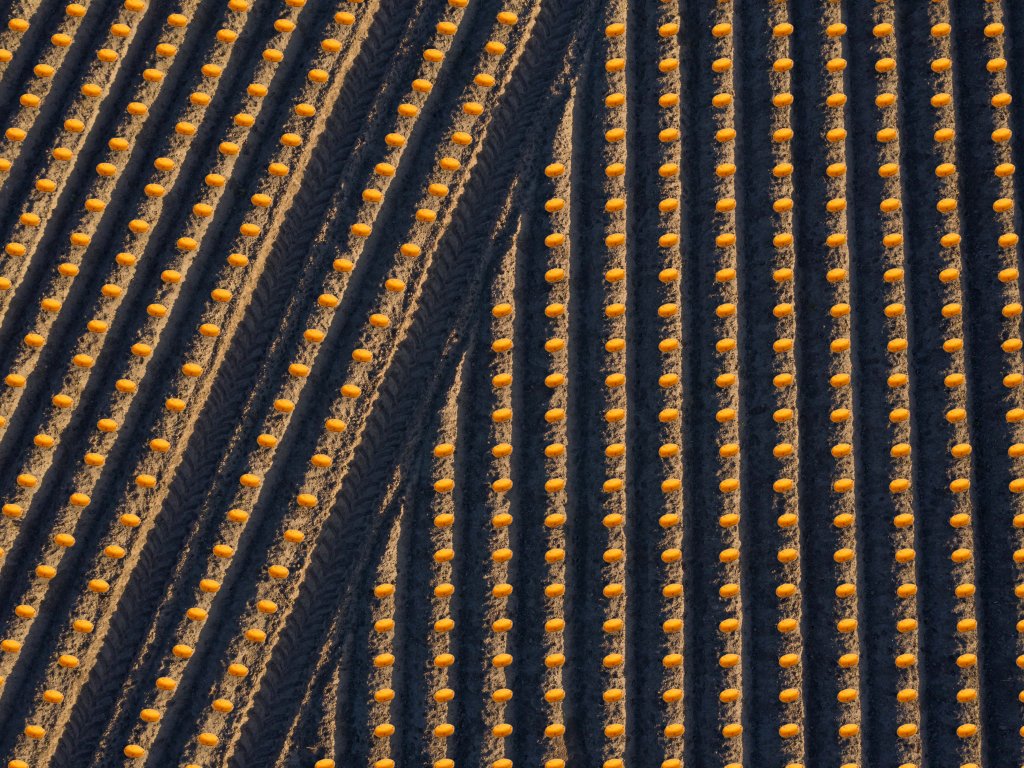 I.110.100 - Section Control