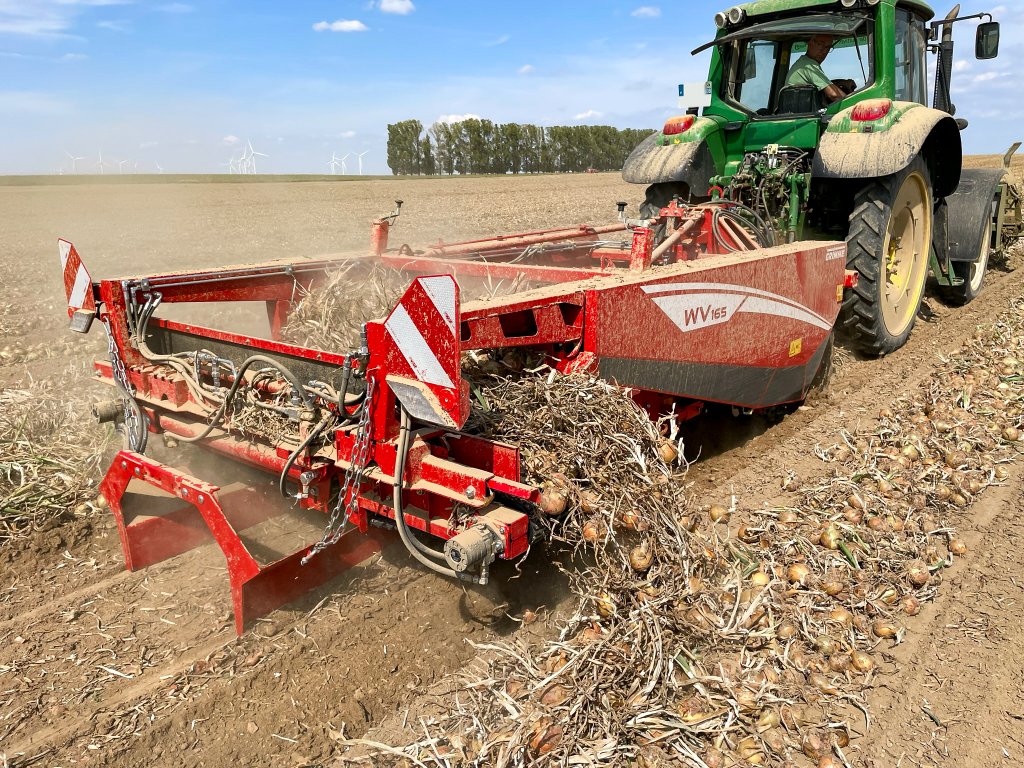 GRIMME WV 165 - Querablageband (2)
