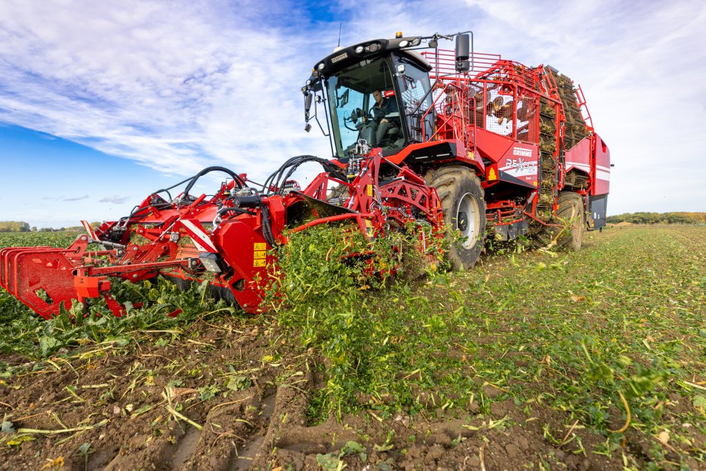 GRIMME REXOR 6200 & 6300 (10)