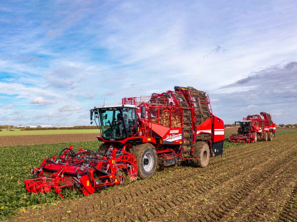GRIMME REXOR 6200 & 6300 (13)