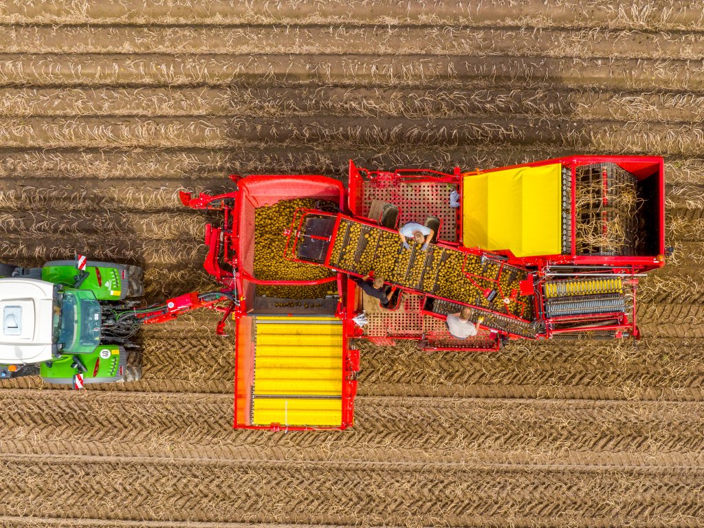 EVO 260 - (03)