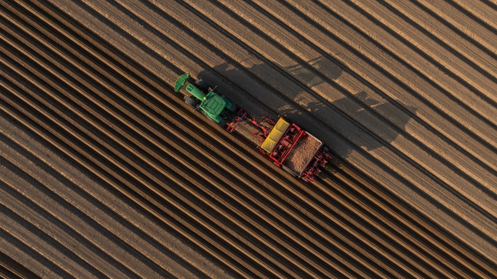 PRIOS 440 Beet (5)
