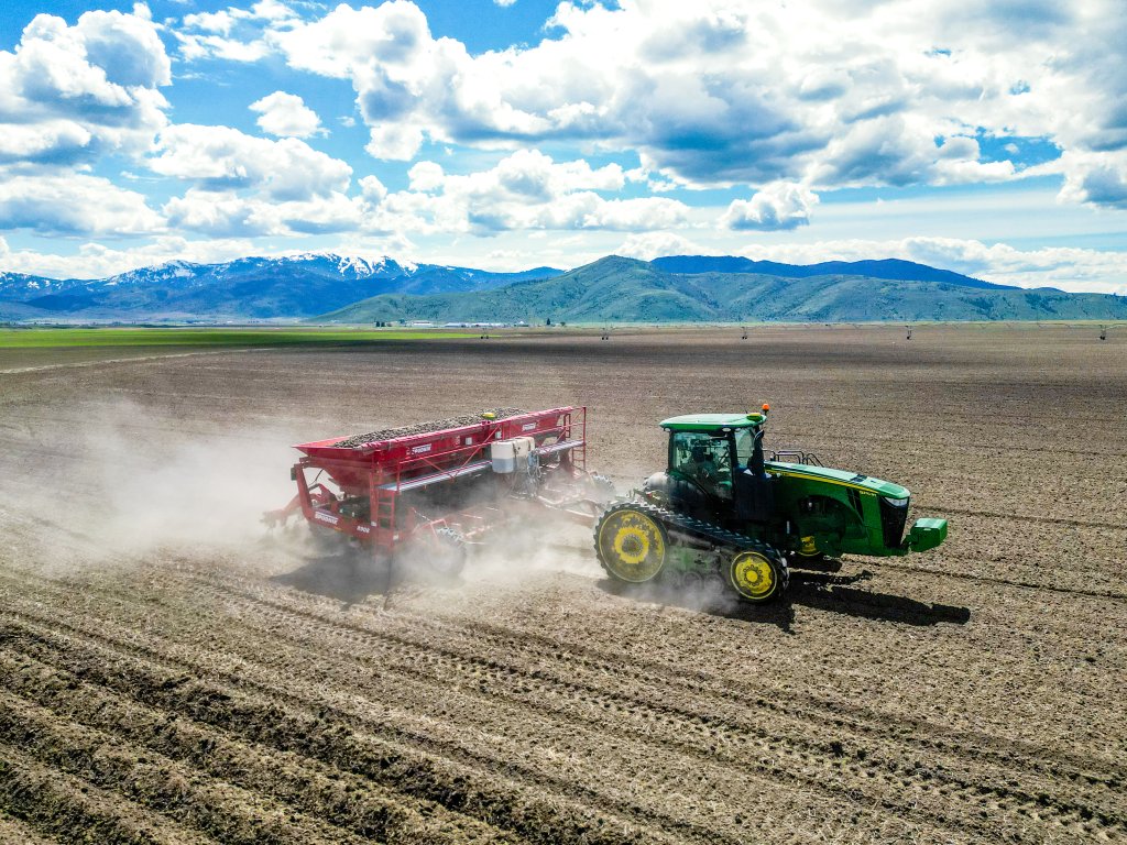 SPUDNIK 8908 (14)